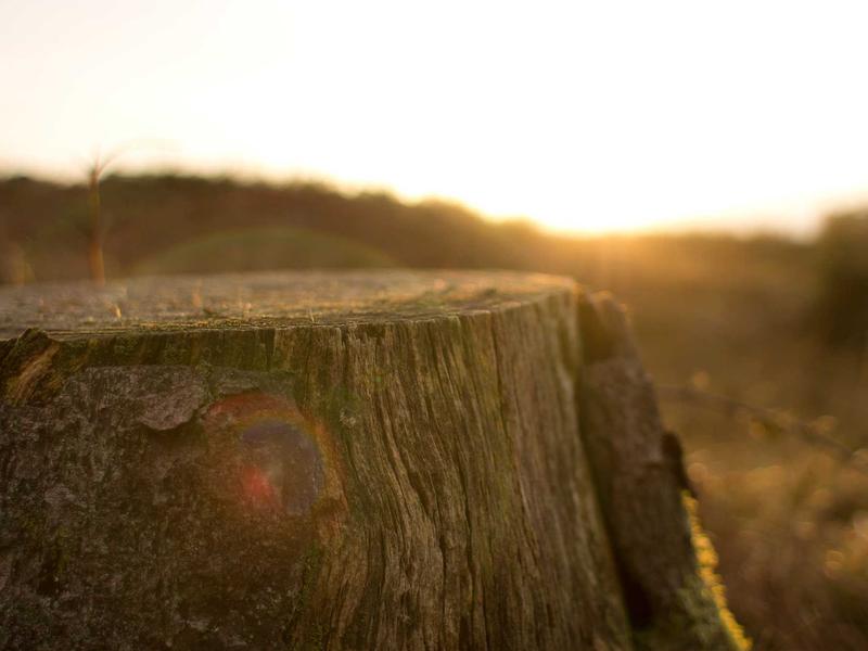 sudoku solving methods screenshot 2